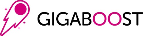 GIGABOOST_2_RGB